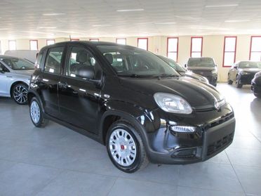 FIAT Panda 1.0 FireFly S&S Hybrid _ KM ZERO