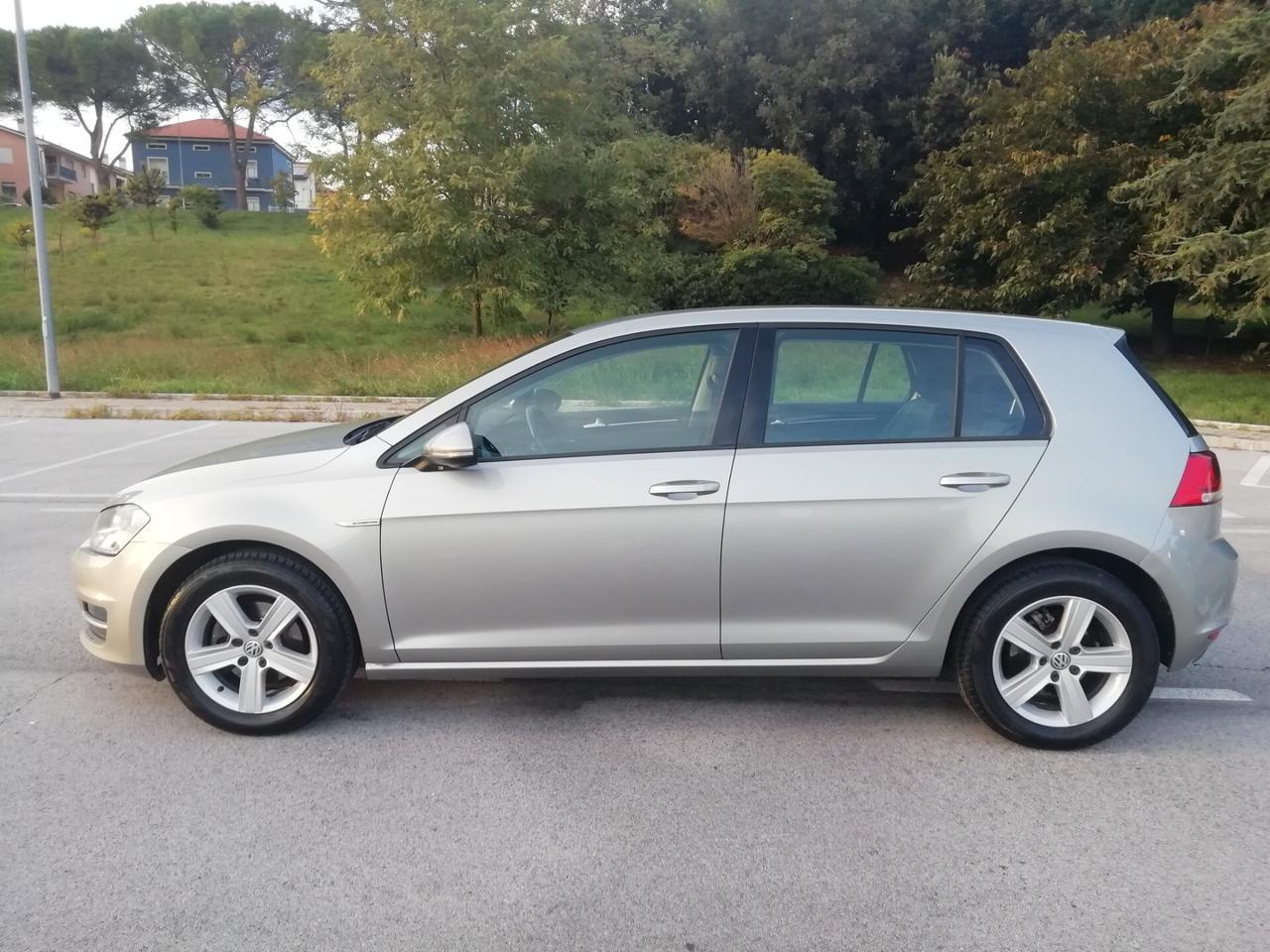 Volkswagen Golf Business 1.4 TGI 5p. Highline BlueMotion "Anche NEOPATENTATI"