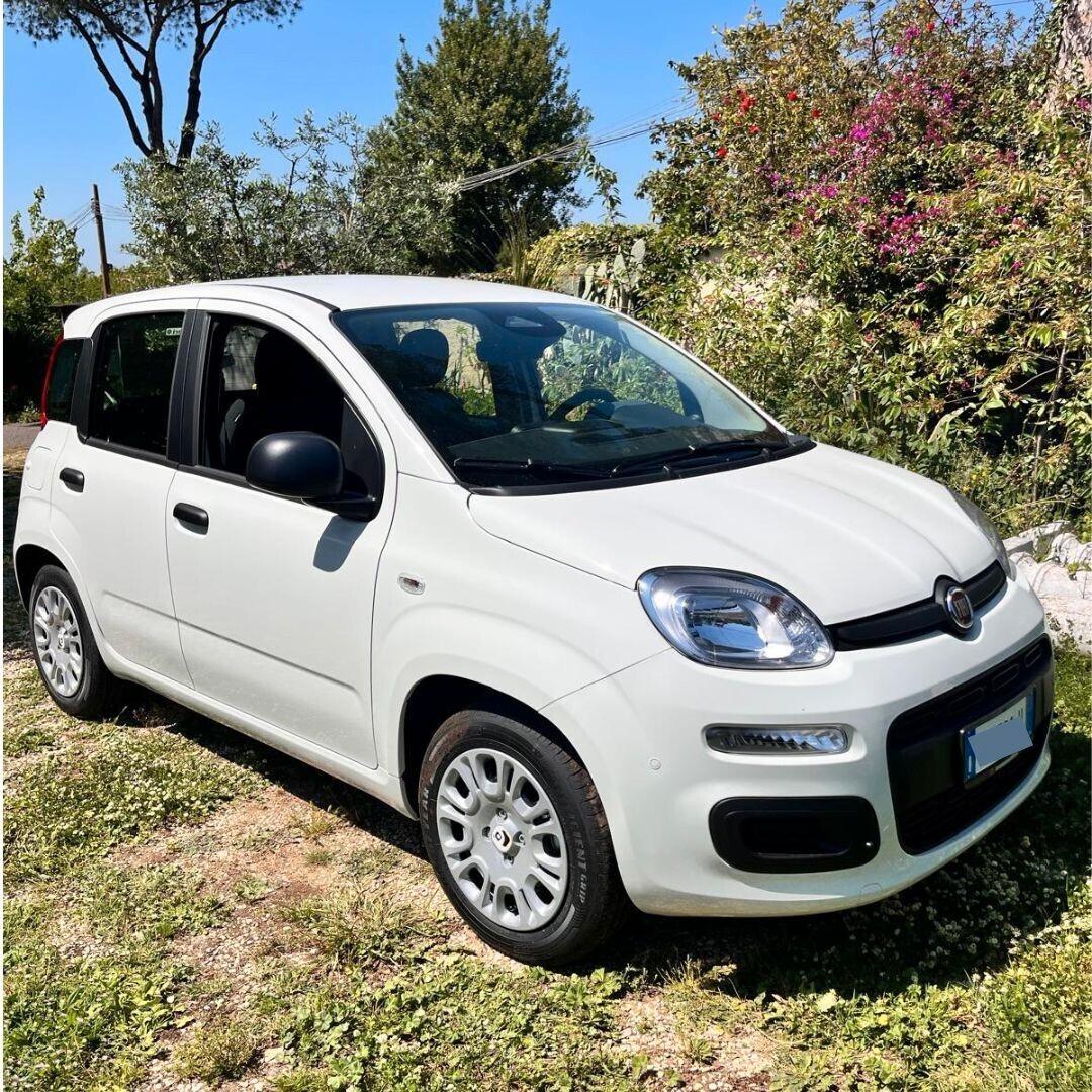 Fiat Panda 1.0 FireFly S&S Hybrid- KM ZERO