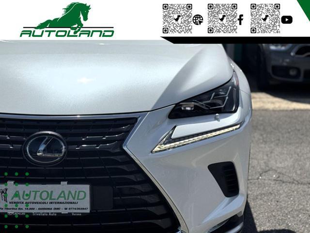 LEXUS NX 300 Hybrid 4WD Executive 155 CV