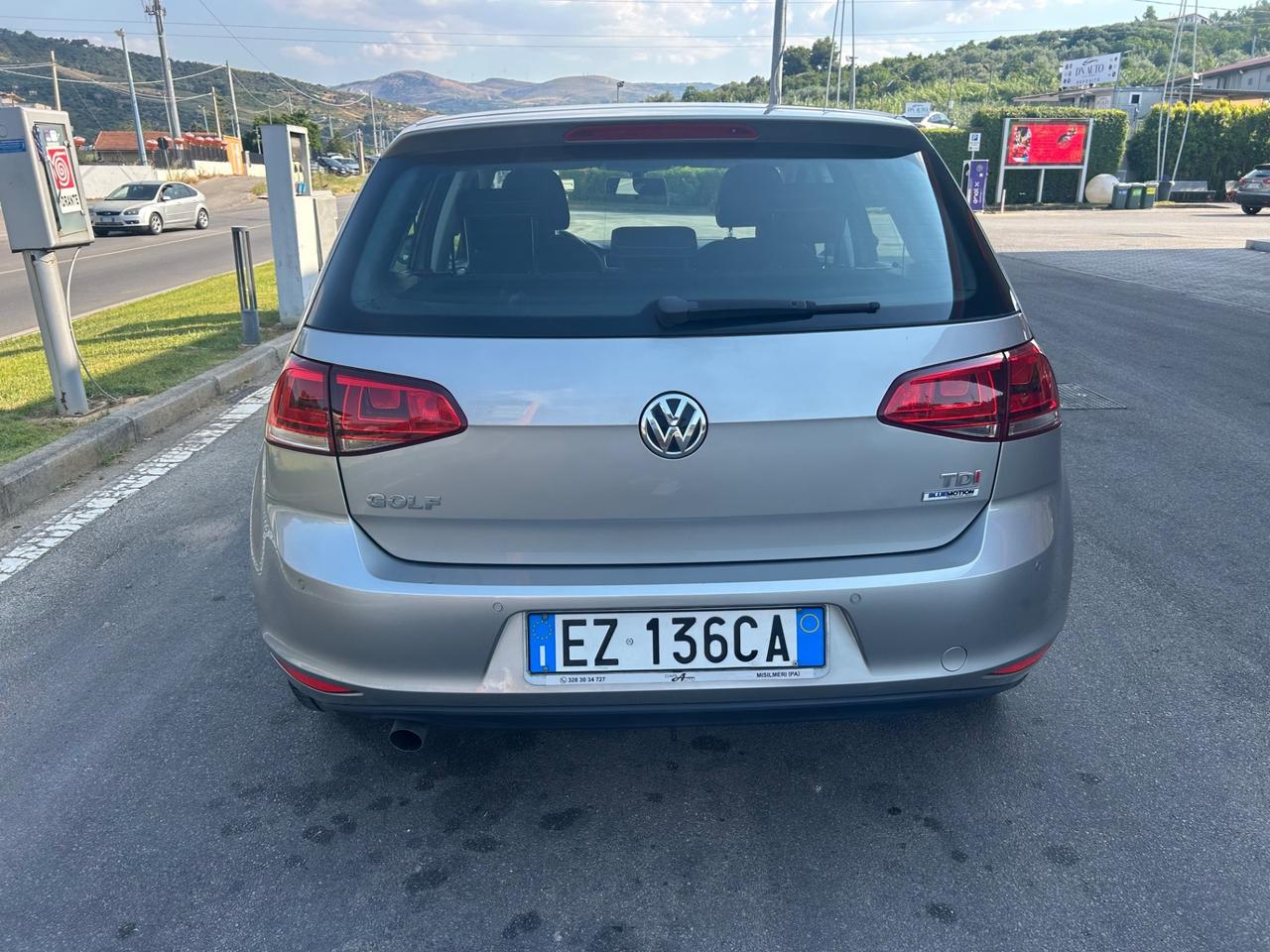 Volkswagen Golf Vw 7 1600 tdi 110 CV 5p. Highline
