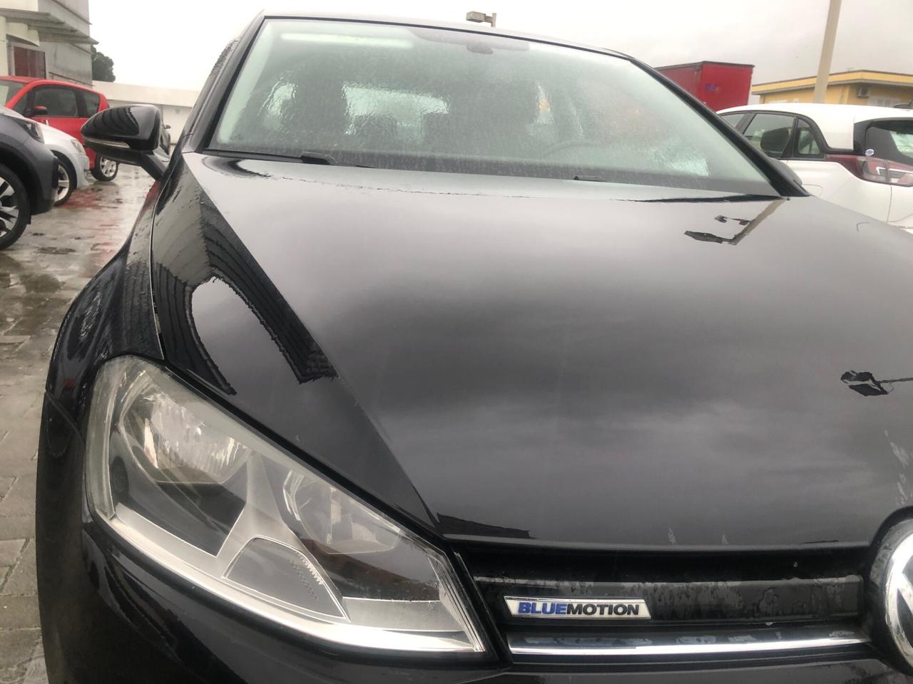 Volkswagen Golf 1.4 TGI 5p. Comfortline BlueMotion