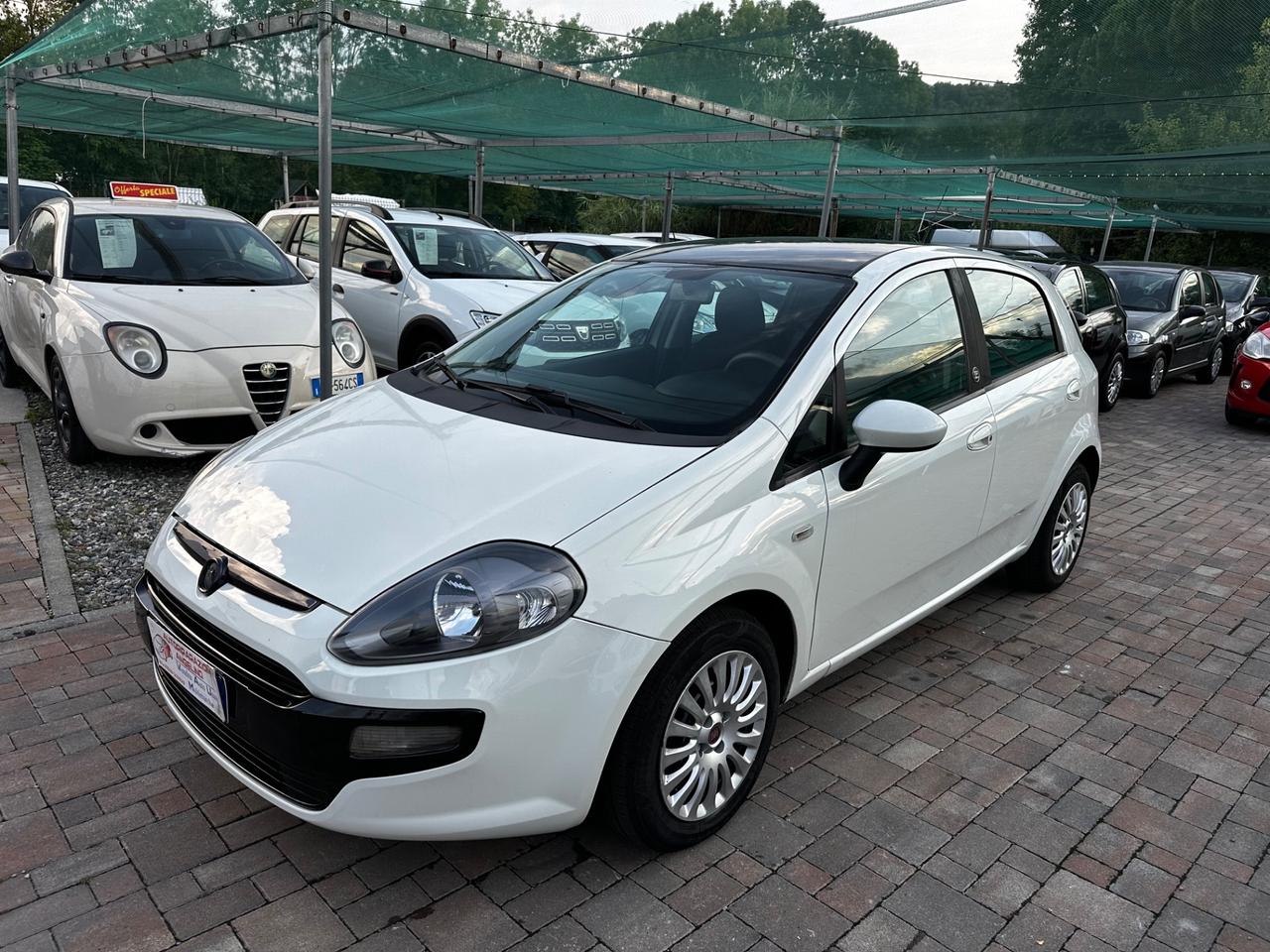 Fiat Punto Evo 1.3 Mjt 75 CV 5 porte S&S Dynamic