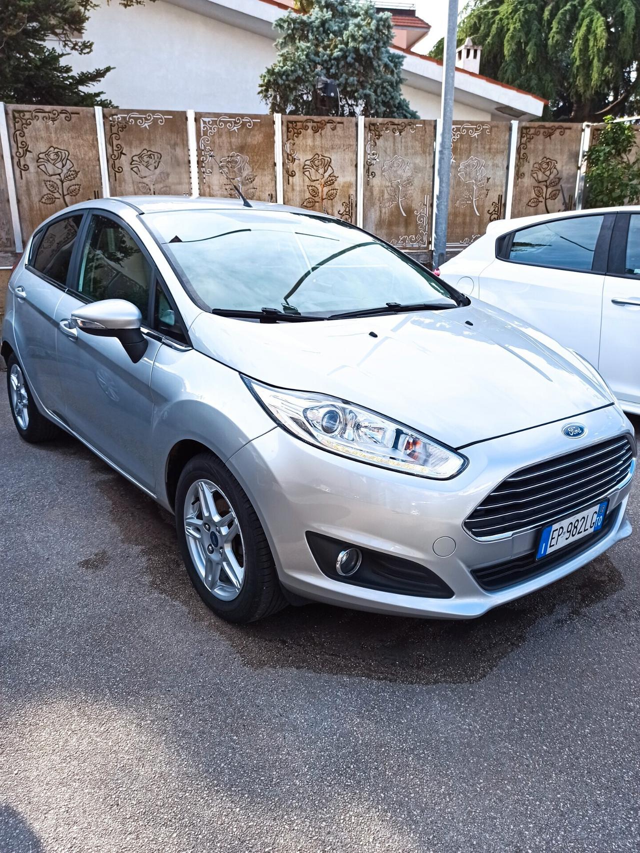Ford Fiesta 1.5 TDCi 75CV 5 porte Titanium