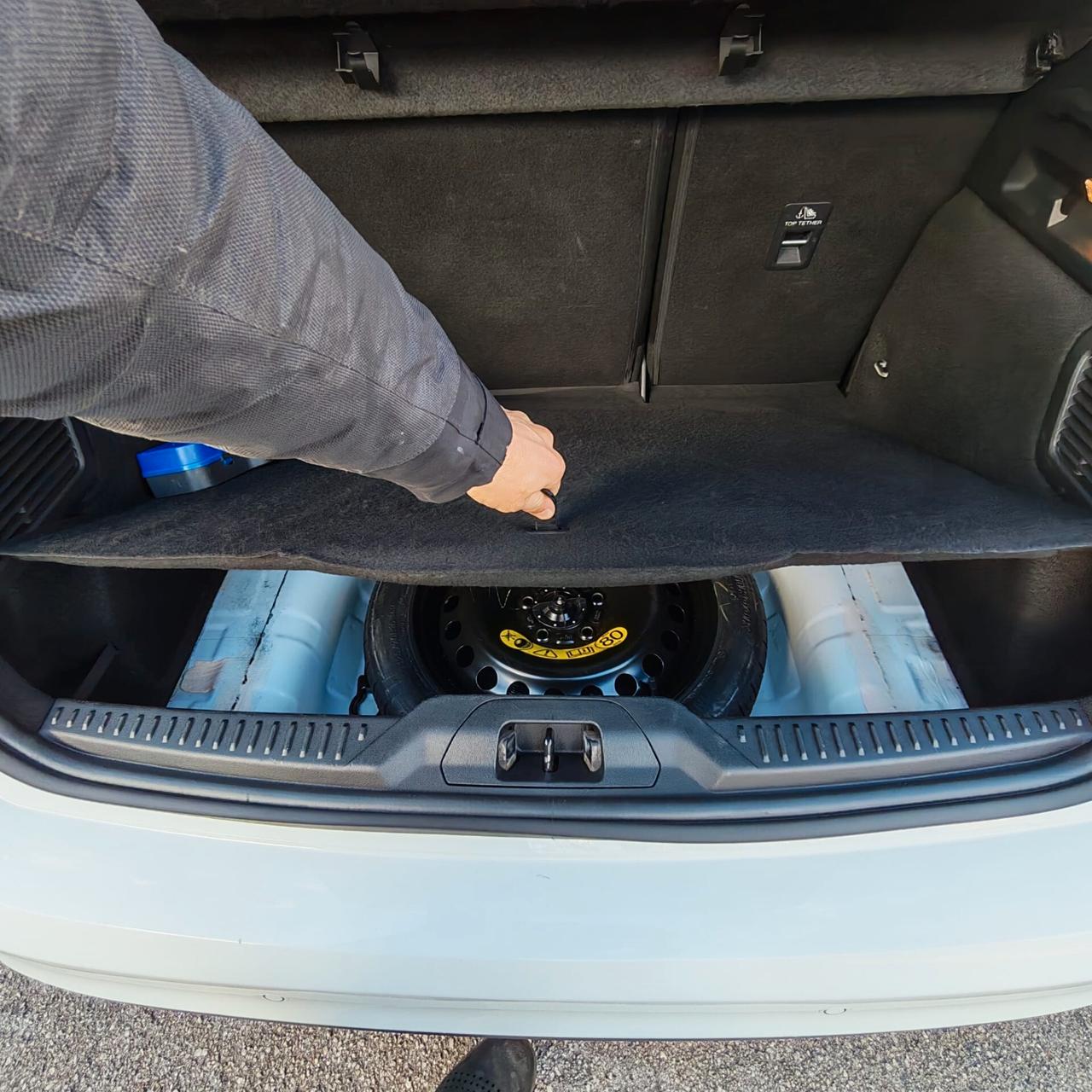 Ford Focus 1.5 EcoBlue 120 CV 5p. Business Co-Pilot auto