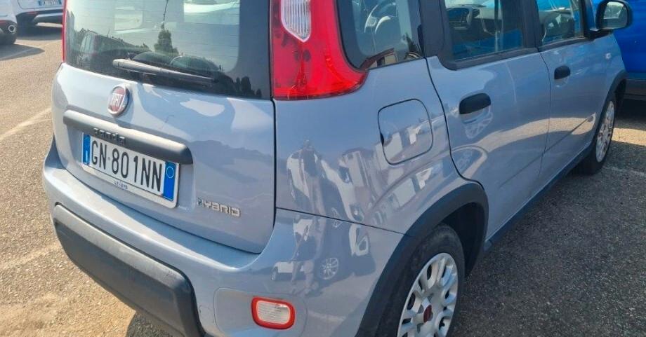Fiat Panda 1.0 FireFly S&S Hybrid 70cv KM 20'277