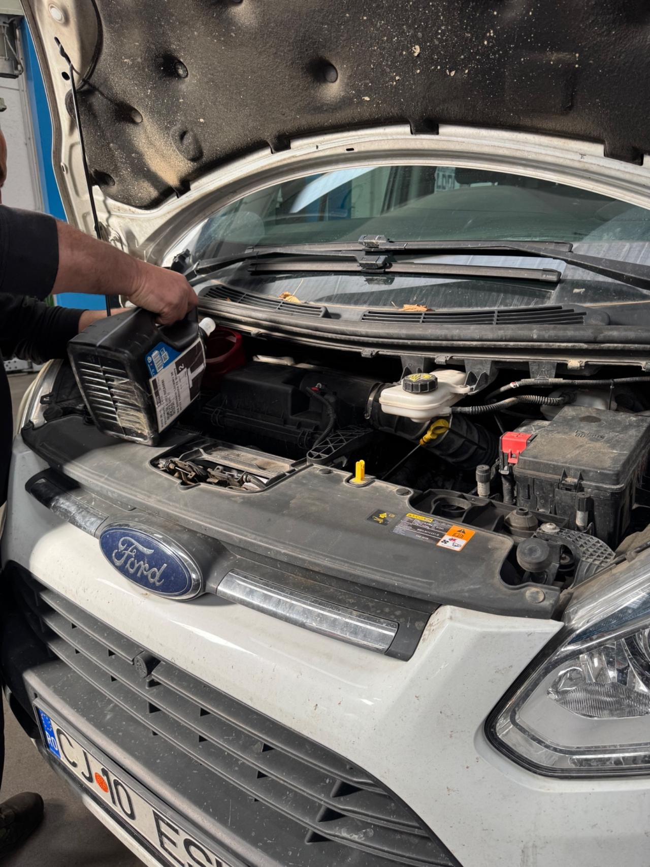 Fiat Punto Evo 1.2 5 porte Dynamic