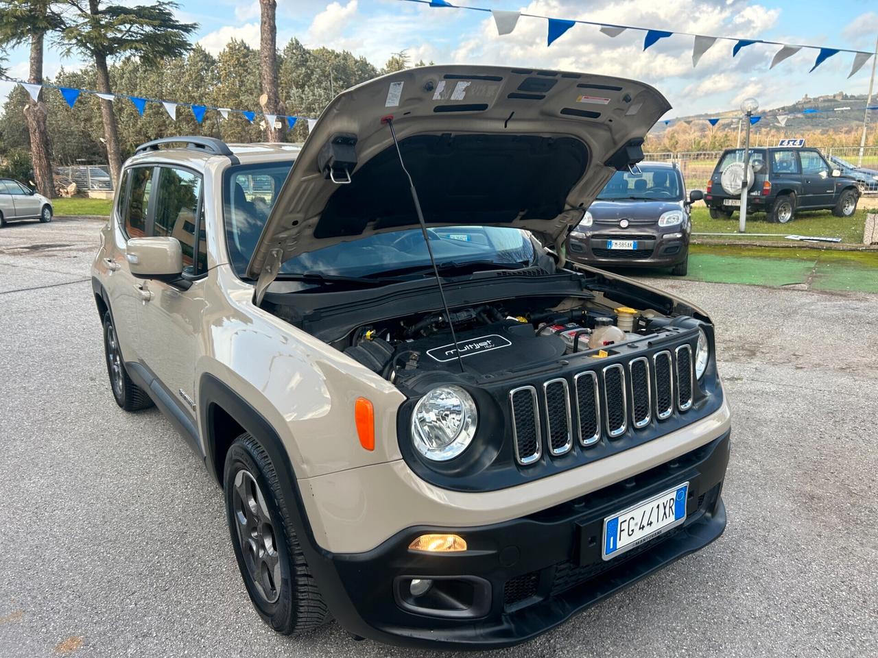 Jeep Renegade 1.6 Mjt 120 CV " UNA CHICCA " Longitude