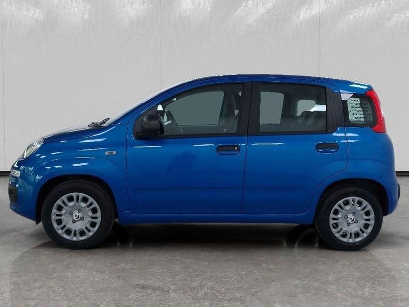 FIAT Pandina 1.0 firefly hybrid Icon s&s 70cv 5p.ti