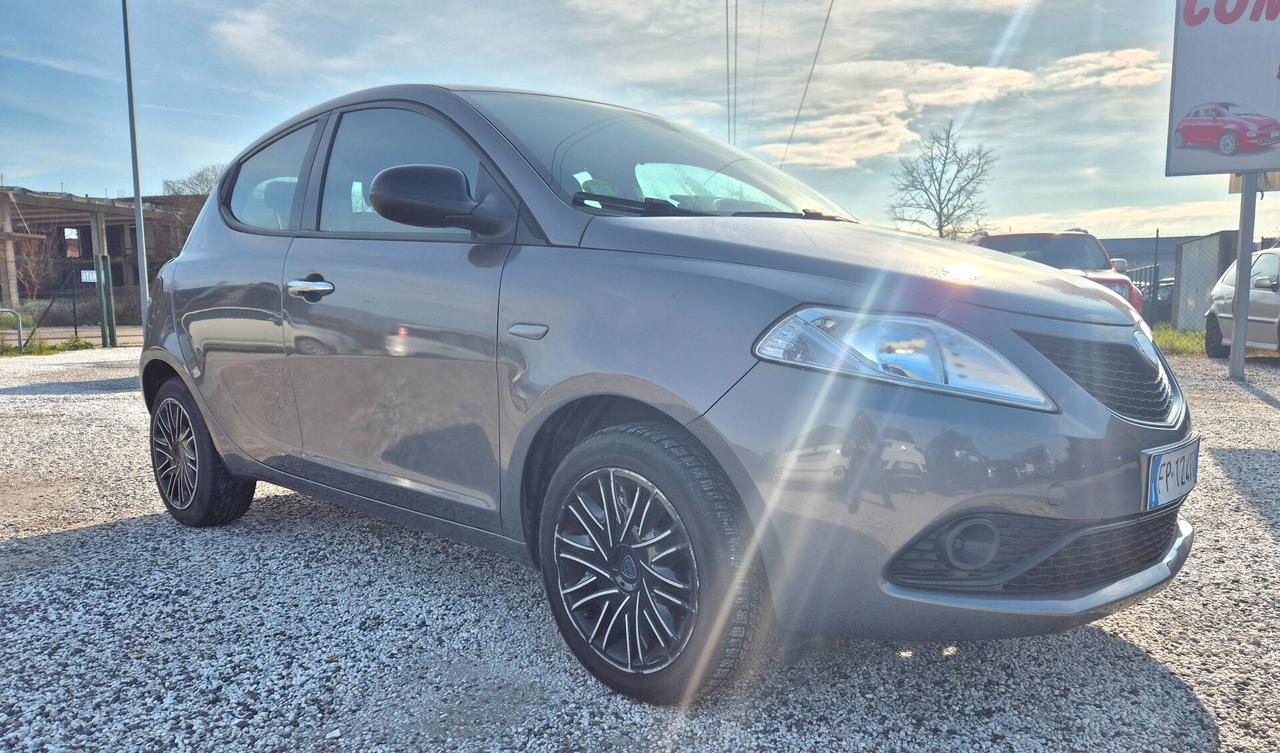 Lancia Ypsilon 1.2 69 CV 5 porte Platinum