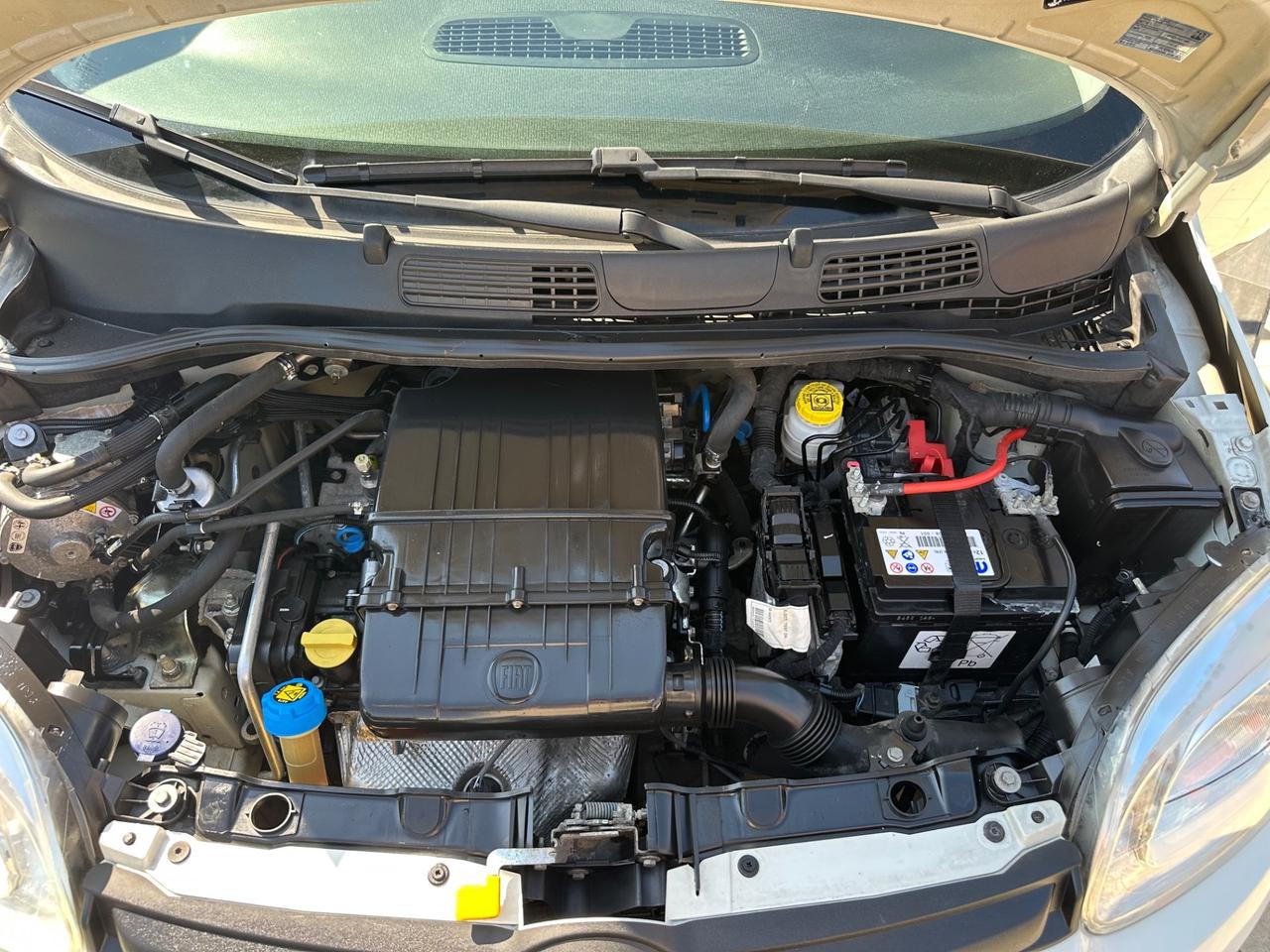 FIAT PANDA VAN GPL - 12/2019 -