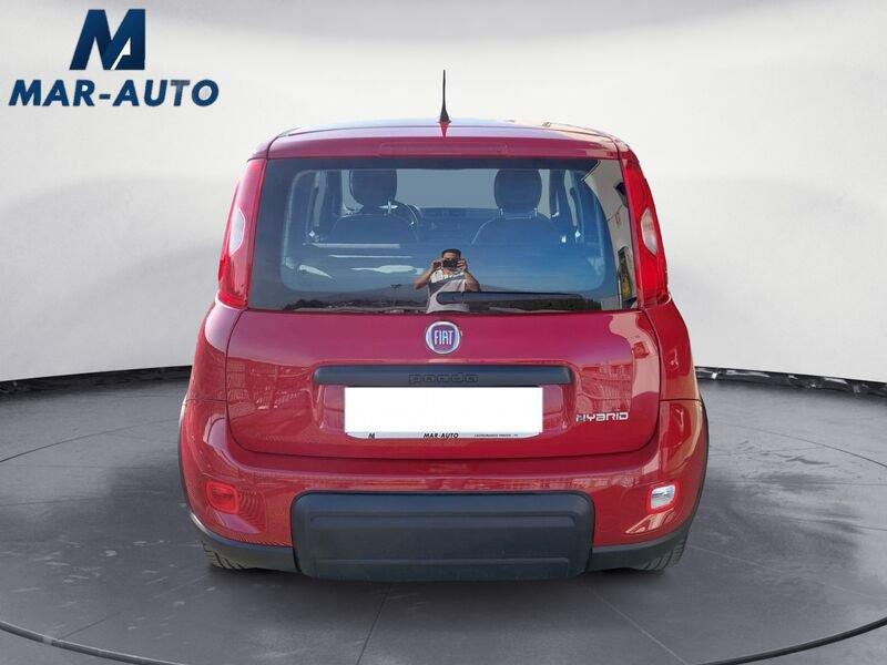 FIAT Panda Panda 1.0 firefly hybrid s&s 70cv