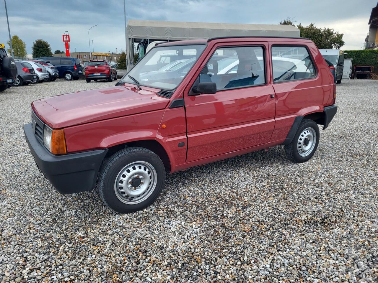 Fiat Panda 1100 i.e. cat Young ASI