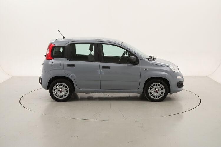 Fiat Panda Hybrid BR305464 1.0 Mild Hybrid 70CV