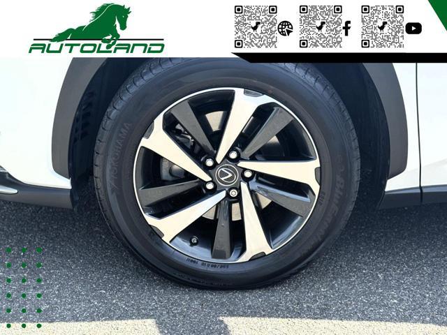LEXUS NX 300 Hybrid 4WD Executive 155 CV