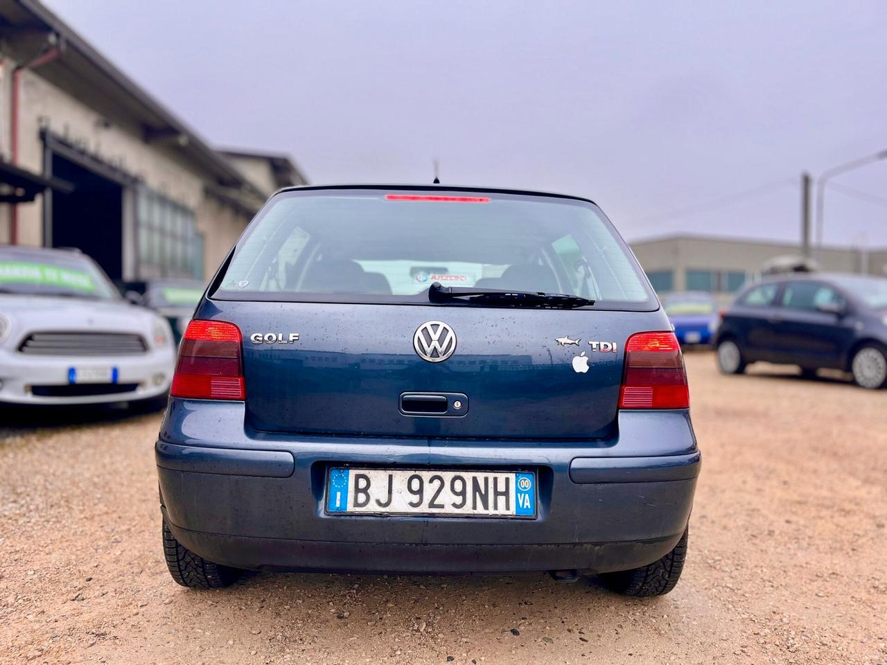 Volkswagen Golf 1.9 TDI/115 CV cat 5 porte GTI