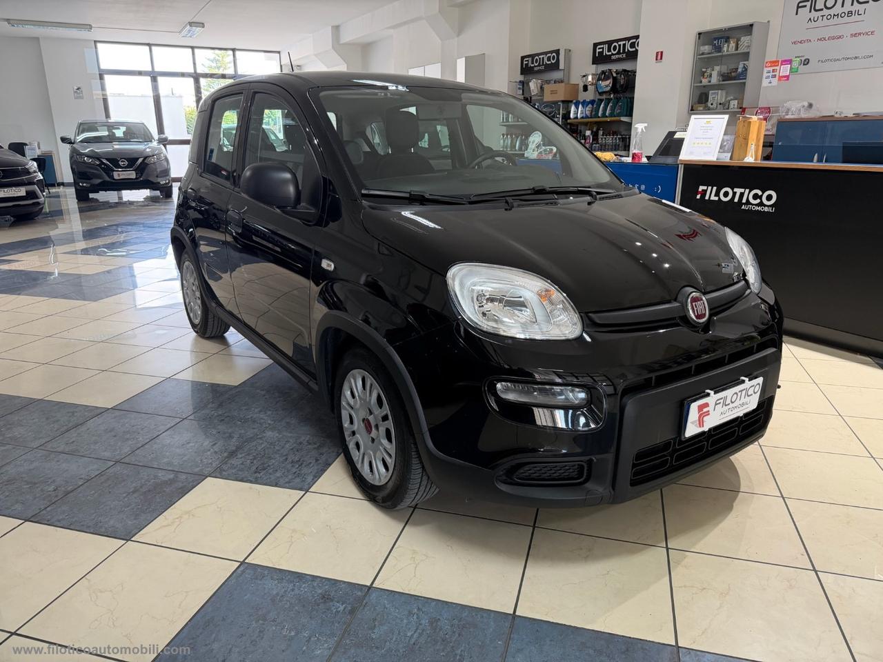 FIAT Panda 1.0 FireFly S&S Hybrid SENSORI DI PARCHEGGIO - 5 POSTO