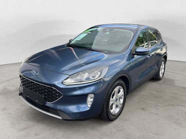 FORD Kuga Kuga 1.5 EcoBlue 120 CV 2WD Connect