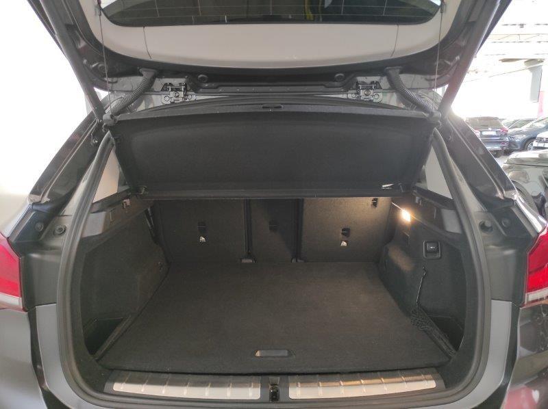 BMW X1 (F48) - X1 xDrive25e Xline