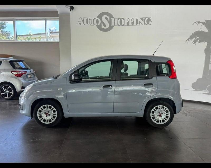 FIAT Panda 3ª serie 1.0 FireFly S&S Hybrid