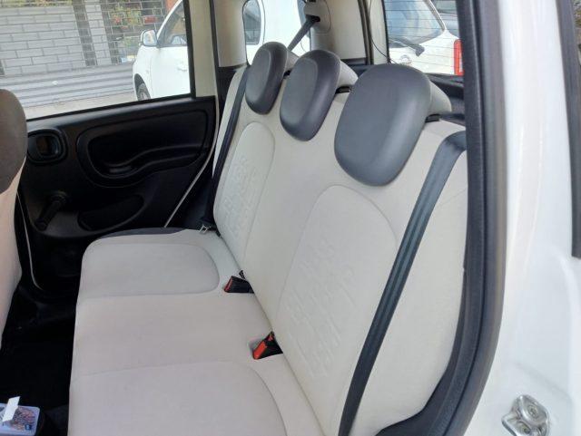 FIAT Panda 1.2 LOUNGE 5 POSTI *ok neopatentati* euro 6B