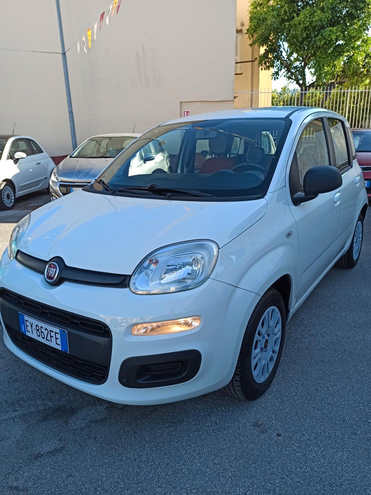 Fiat Panda 1.2 69 cv Easy