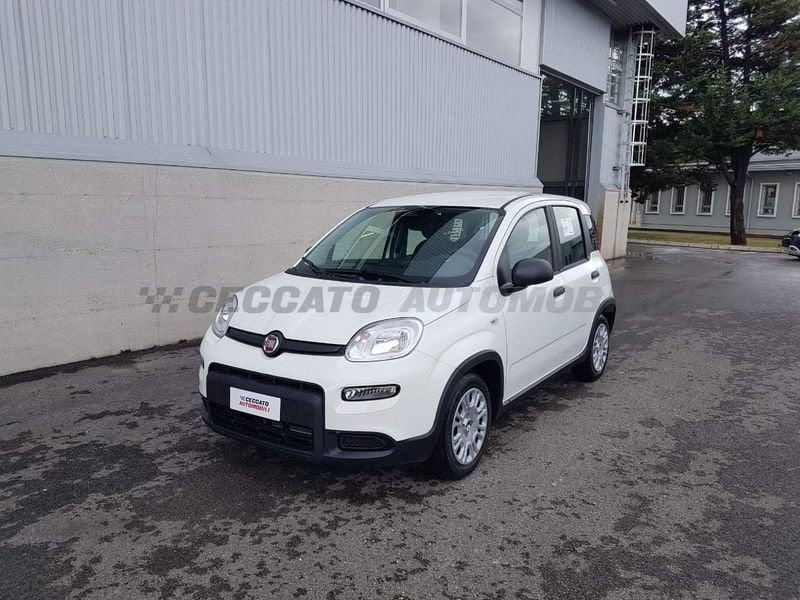 FIAT Panda Panda 1.0 70cv Hybrid Panda