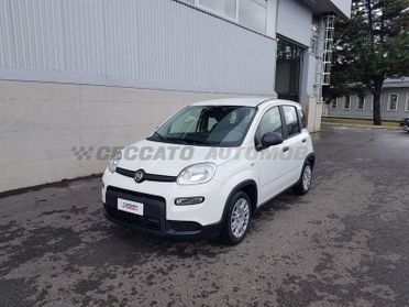 FIAT Panda Panda 1.0 70cv Hybrid Panda