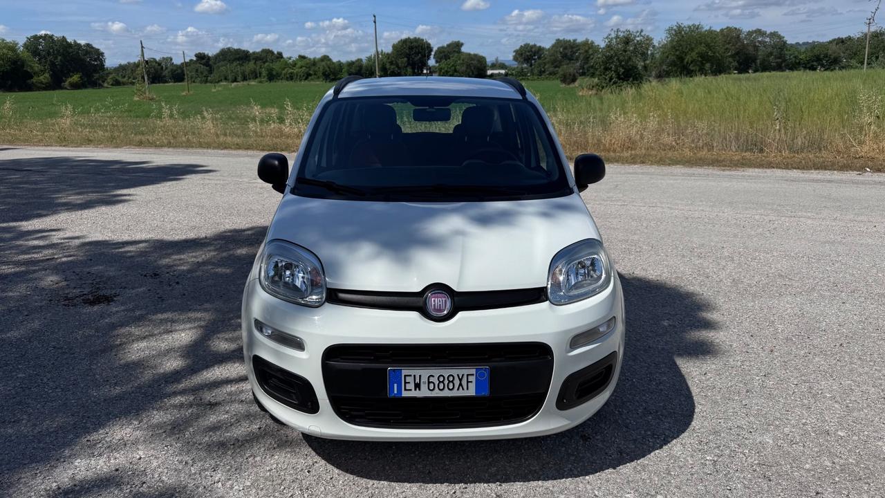 Fiat Panda 1.2 Easy
