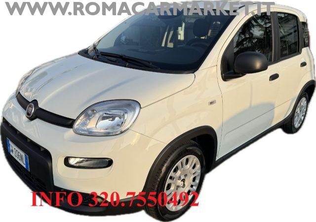 FIAT Panda 1.0 FireFly S&S Hybrid PACK CITY AZIENDALE NO VINC