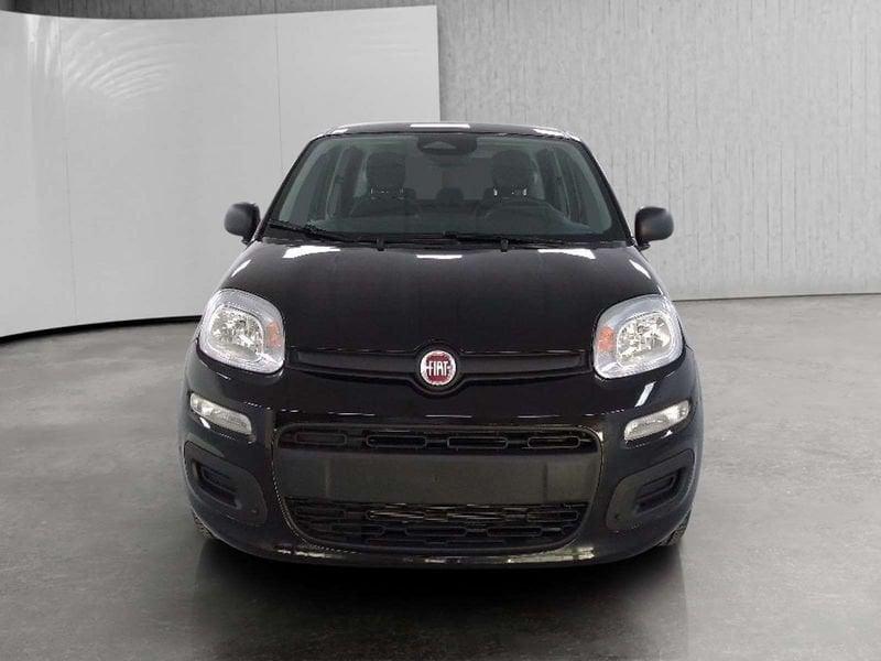 FIAT Pandina 1.0 firefly hybrid Icon s&s 70cv 5p.ti