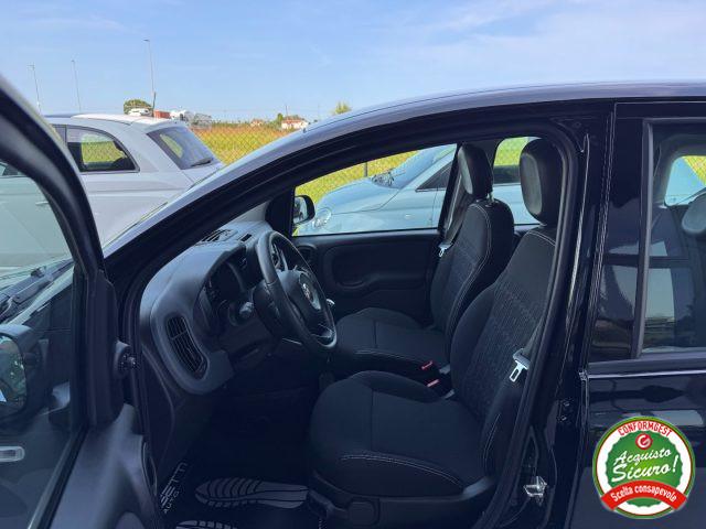 FIAT Panda 1.0 FireFly S&S Hybrid ANCHE NEOPATENTATI