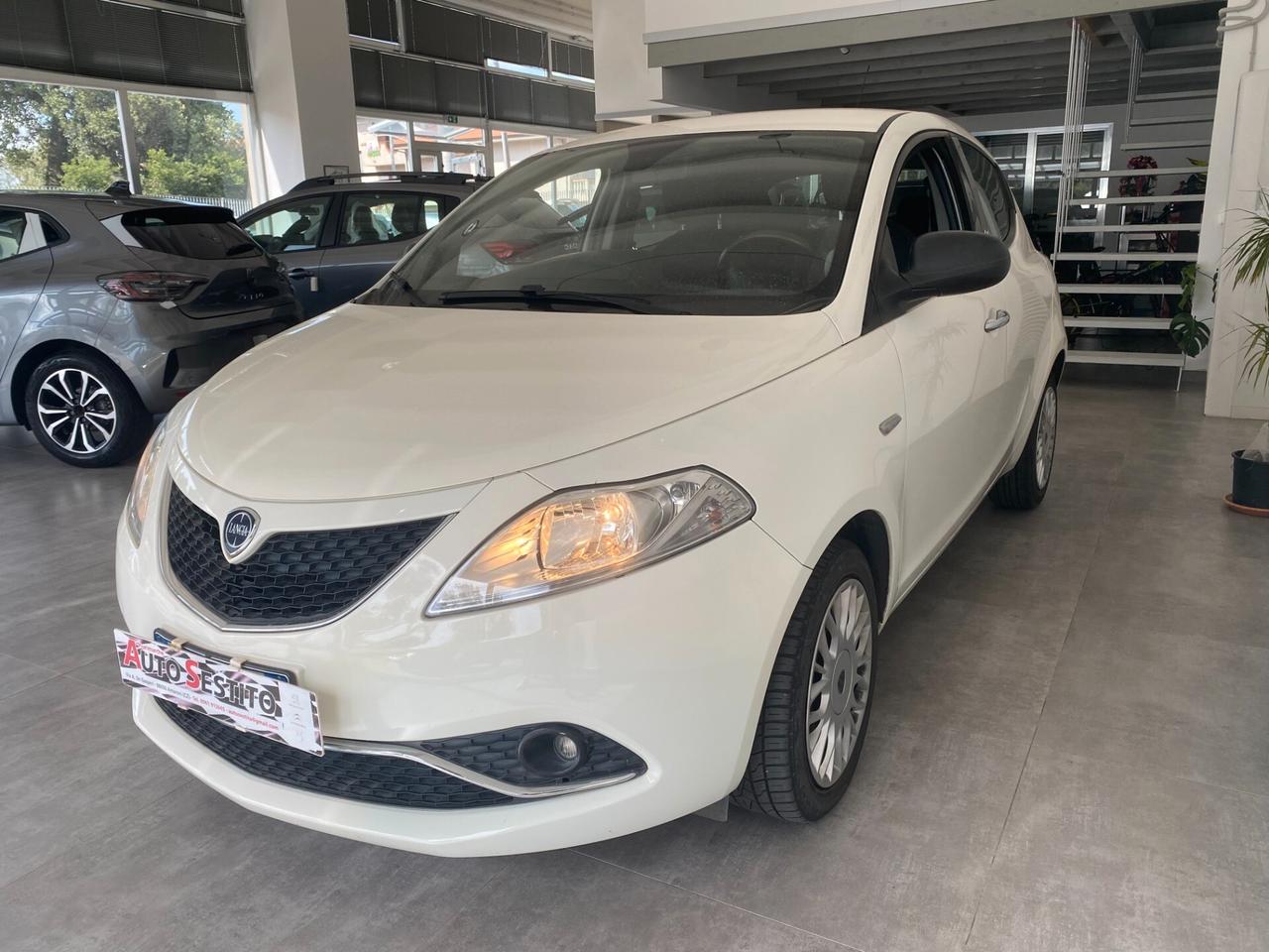Lancia Ypsilon 1.3 MJT 16V 95 CV 5 porte S&S Platinum