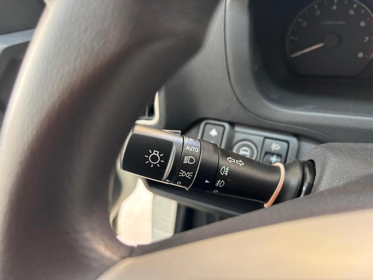 Piaggio Porter NP6 1.5 GPL Passo Lungo Ribaltabile Gemellato Pro Km0