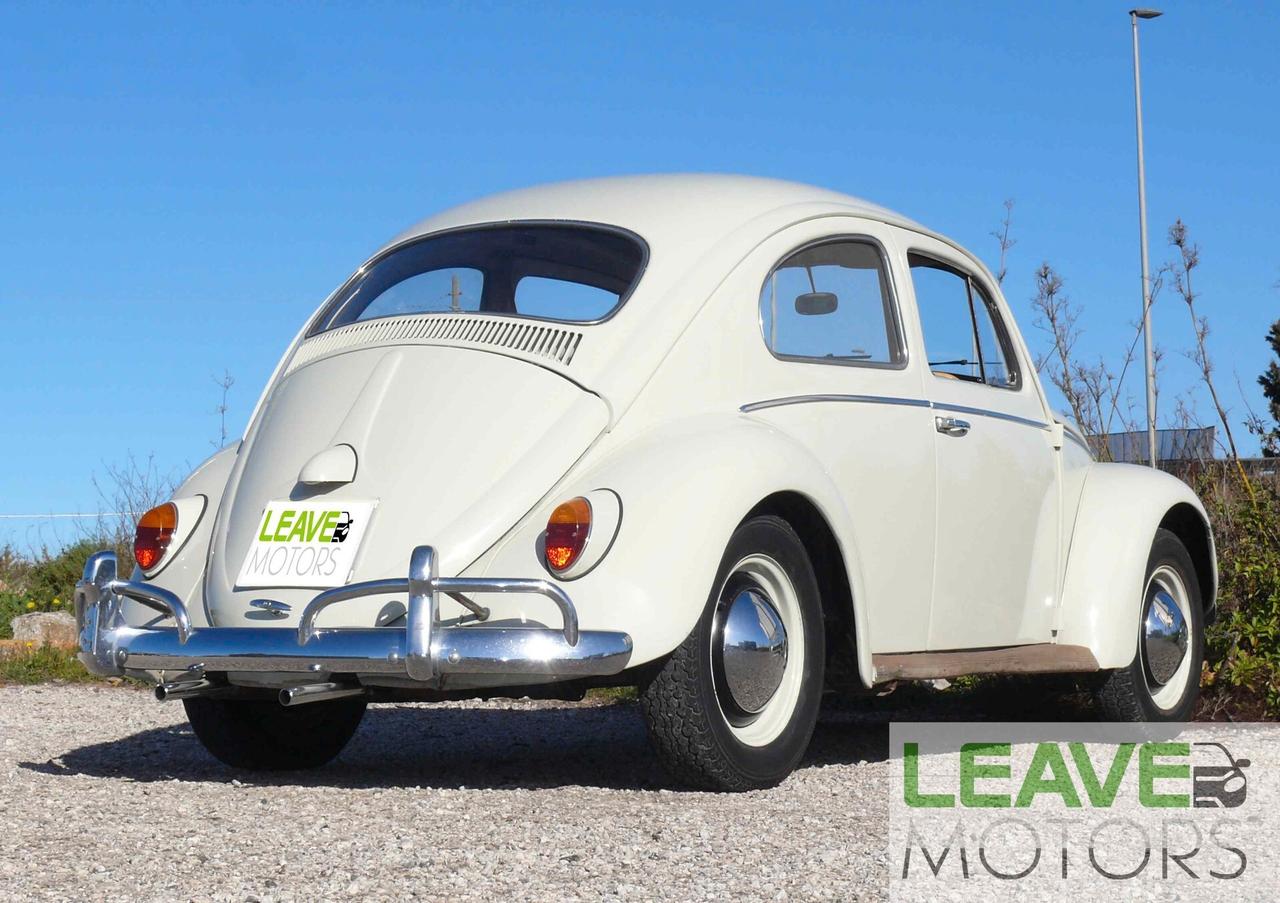 Volkswagen Maggiolino VETRO PIATTO (M1260)