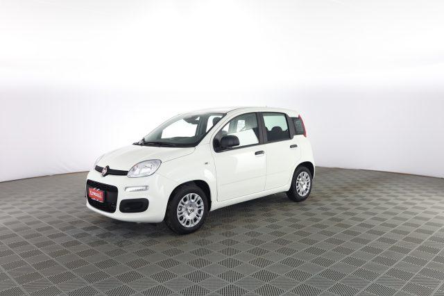 FIAT Panda Pandina 1.0 FireFly 65 CV Hybrid Icon