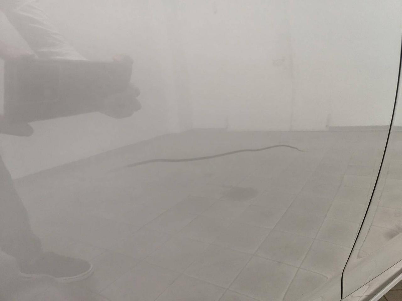 Audi A3 Sportback 30 1.5 g-tron Business 131cv