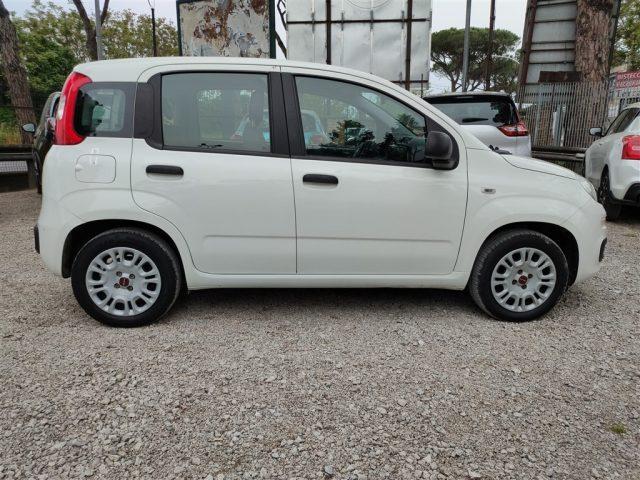 FIAT Panda 1.2 Easy GPL CLIMATIZZATORE OK NEOPATENTATI ..