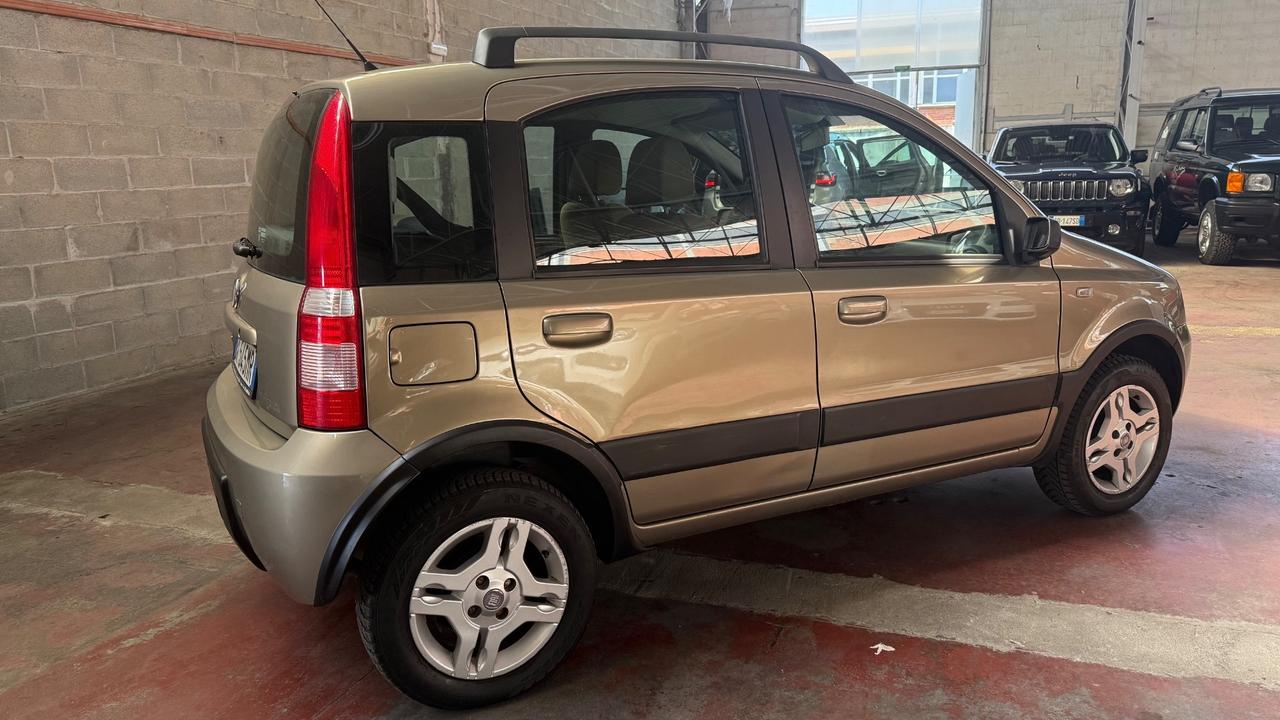 Fiat Panda 1.2 Climbing Natural Power