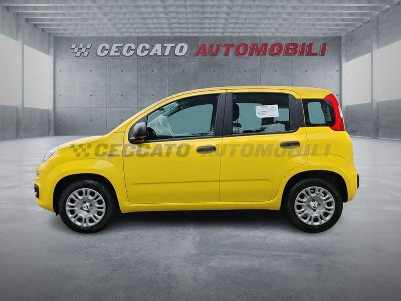 FIAT Pandina Pandina 1.0 65cv Hybrid Pop