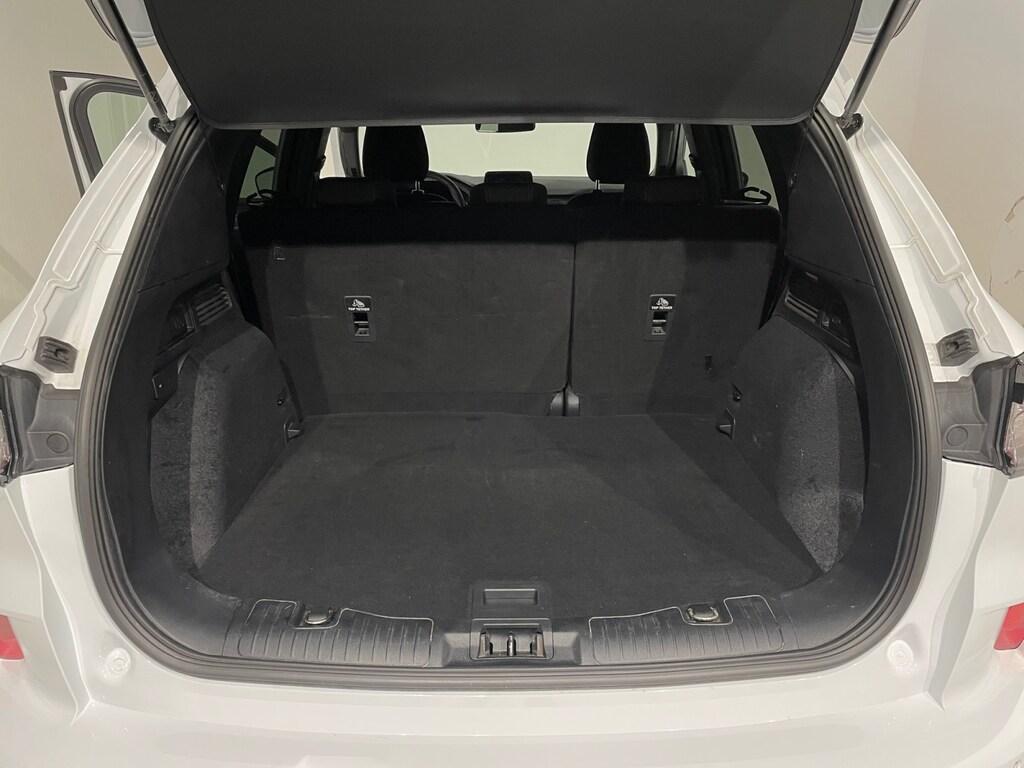 Ford Kuga 1.5 120CV 2WD ST-Line