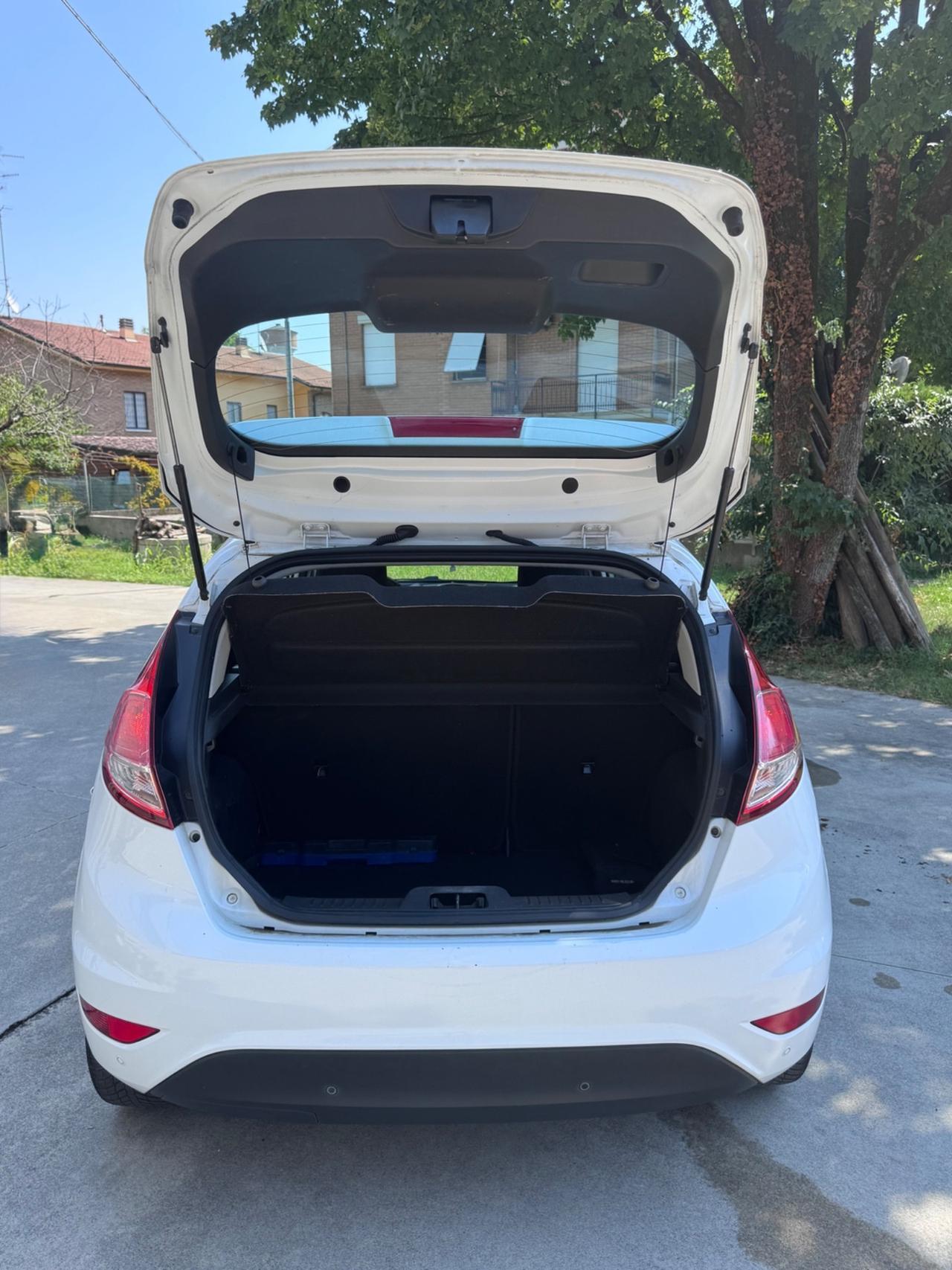 Ford Fiesta 1.4 5p. Bz.- GPL Titanium