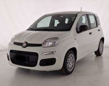 Fiat Panda 1.0 Fire Hybrid NOLEGGIO