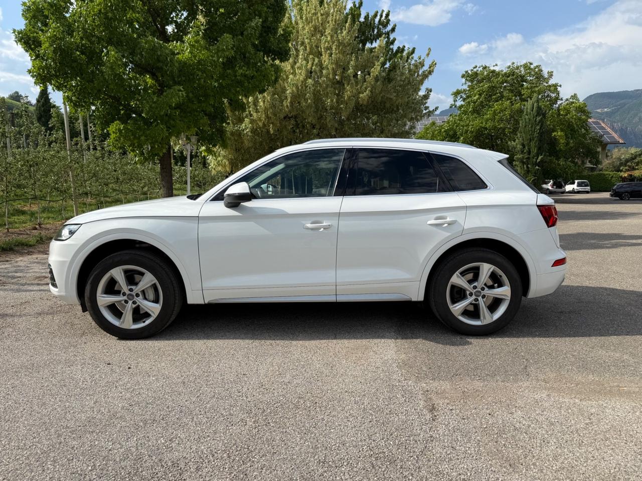 Audi Q5 2.0 TDI 190 CV quattro S tronic Business Sport