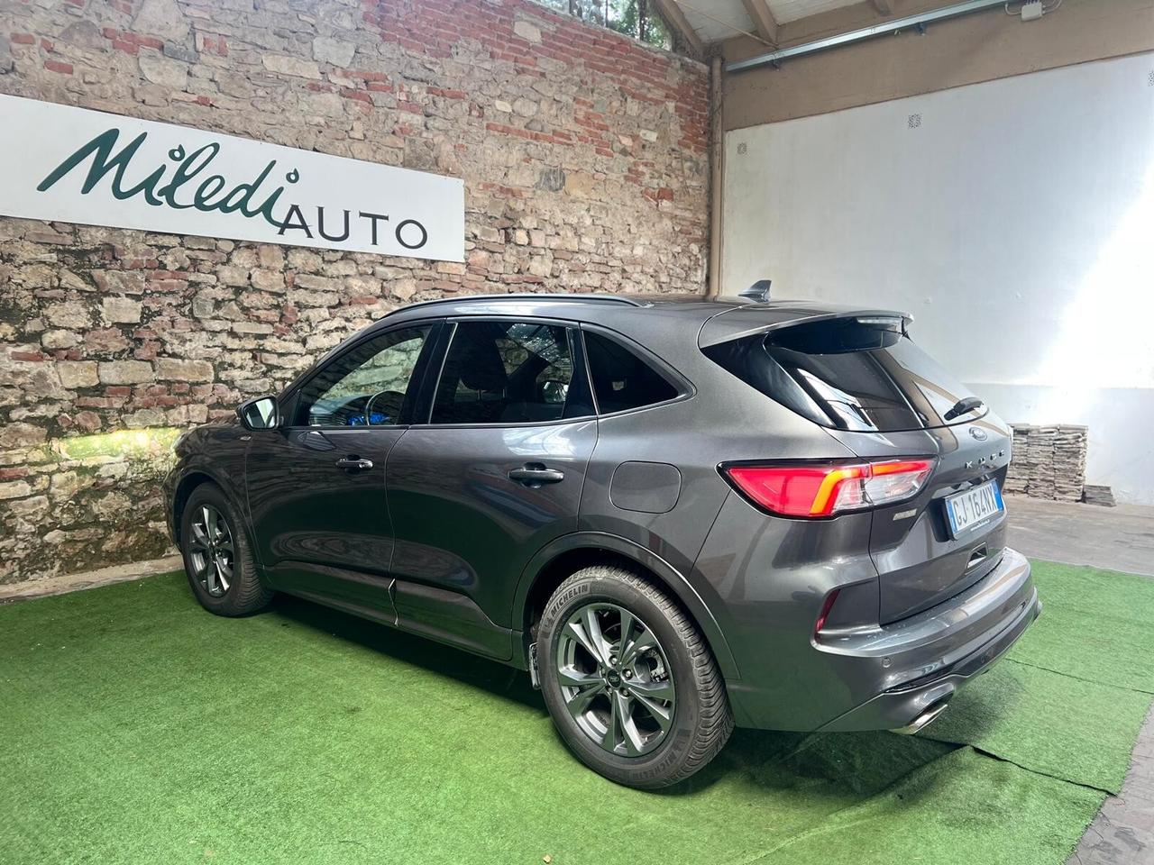 Ford Kuga 1.5 EcoBlue 120 CV aut. 2WD ST-Line X