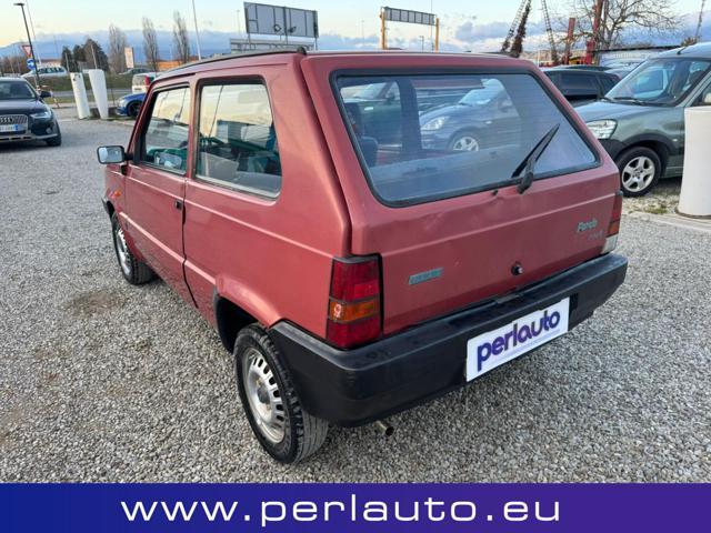 FIAT Panda 1ª serie 1100 i.e. cat Young