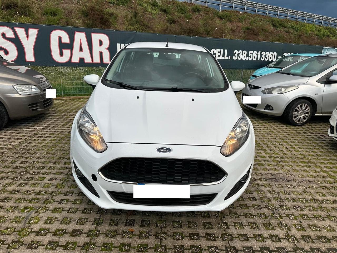 Ford Fiesta 1.4 5 porte Bz.- GPL Black & White Edition-03/2017