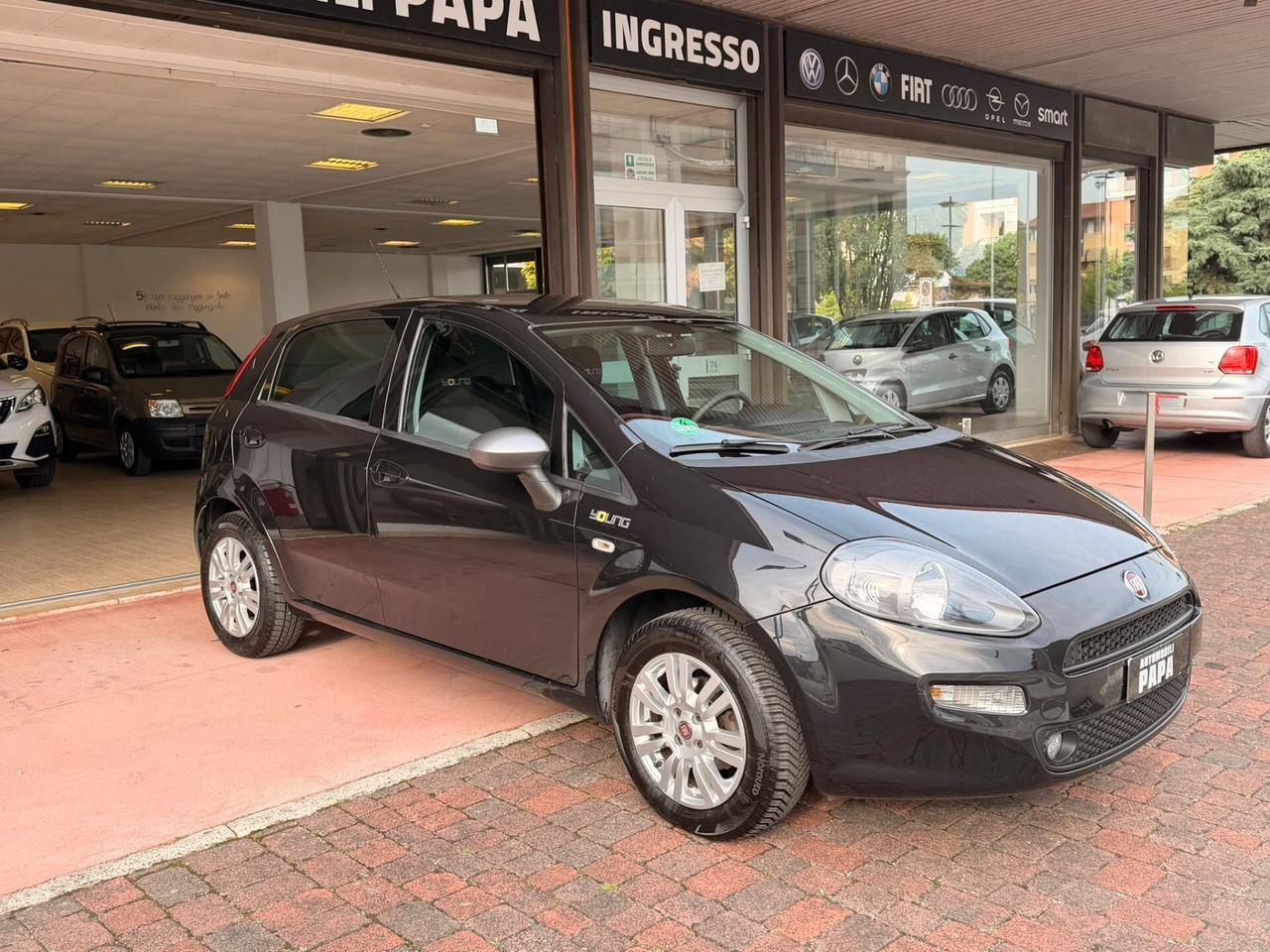 Fiat Punto 1.2 8V 5 porte Young