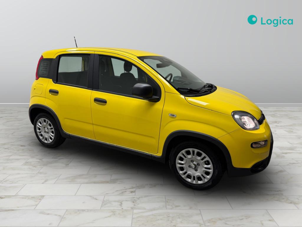 FIAT Panda III 2024 - Panda 1.0 firefly hybrid s&s 70cv