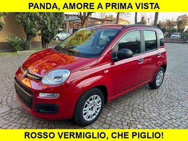 FIAT Panda 1.2 Benzina Neopatentati